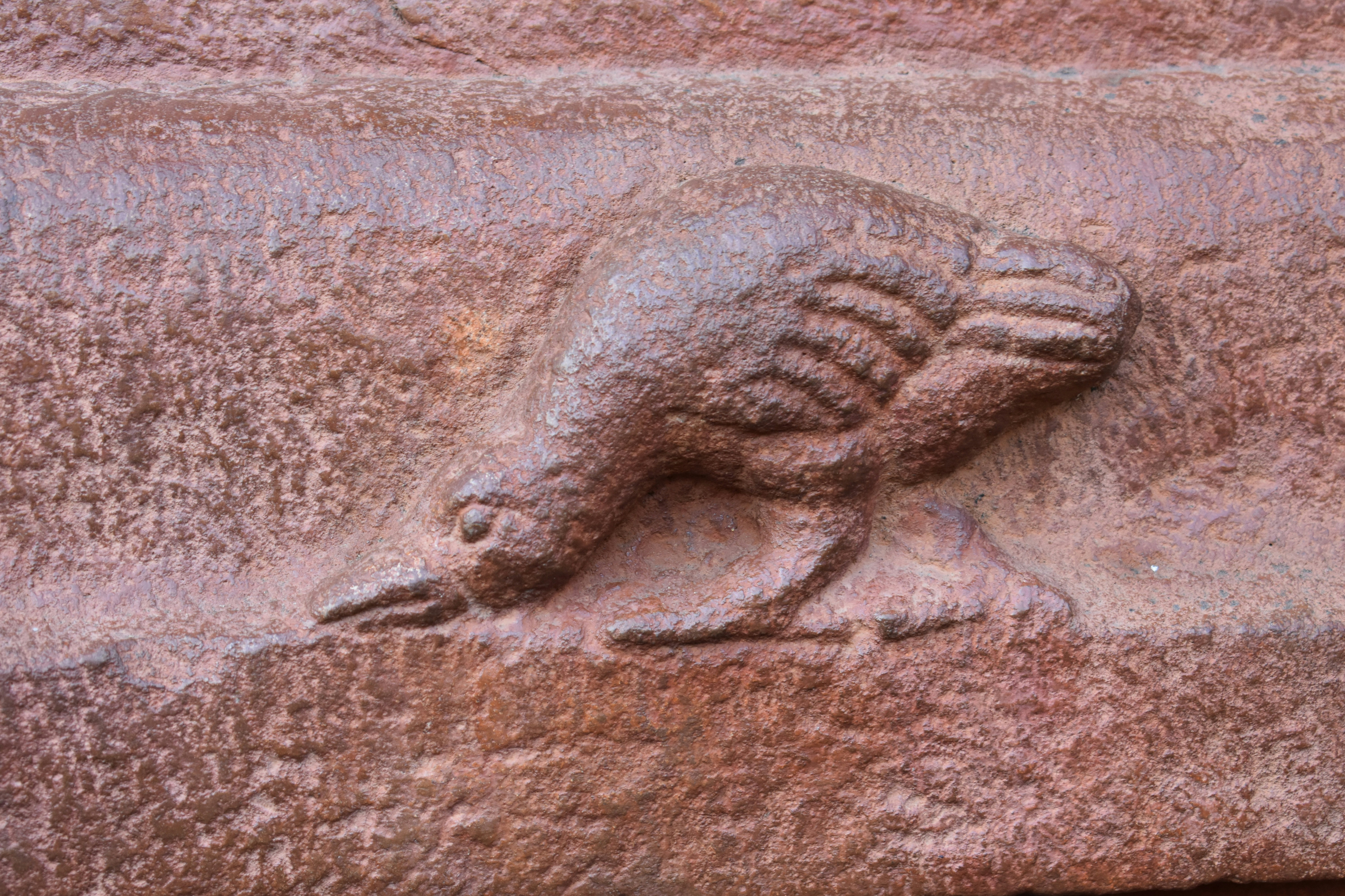 Alternative Theories and Explanations (image credits: unsplash)