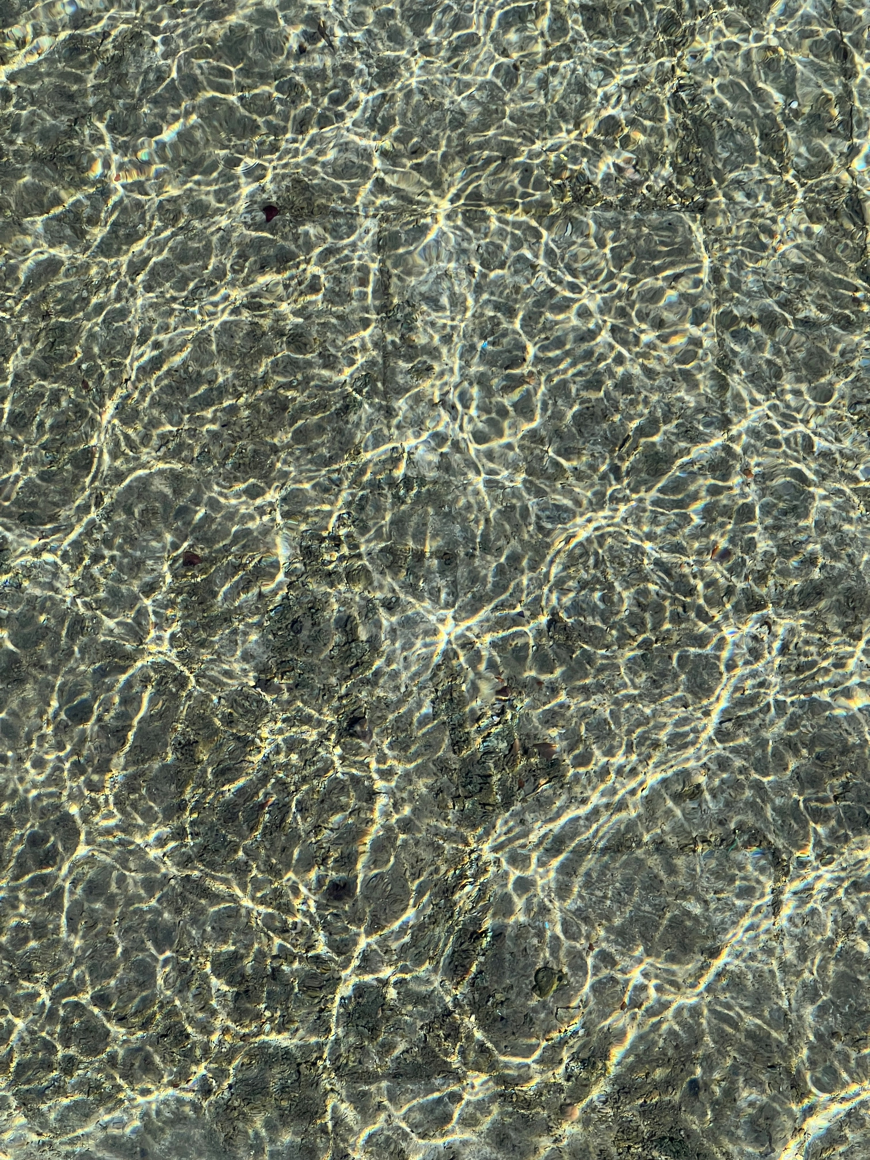 Photo by dashkinilya