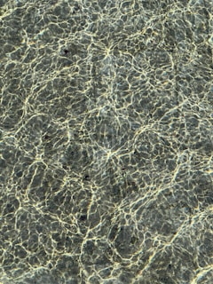 A beautifully crafted water ripple stainless steel sheet showcasing its unique texture.