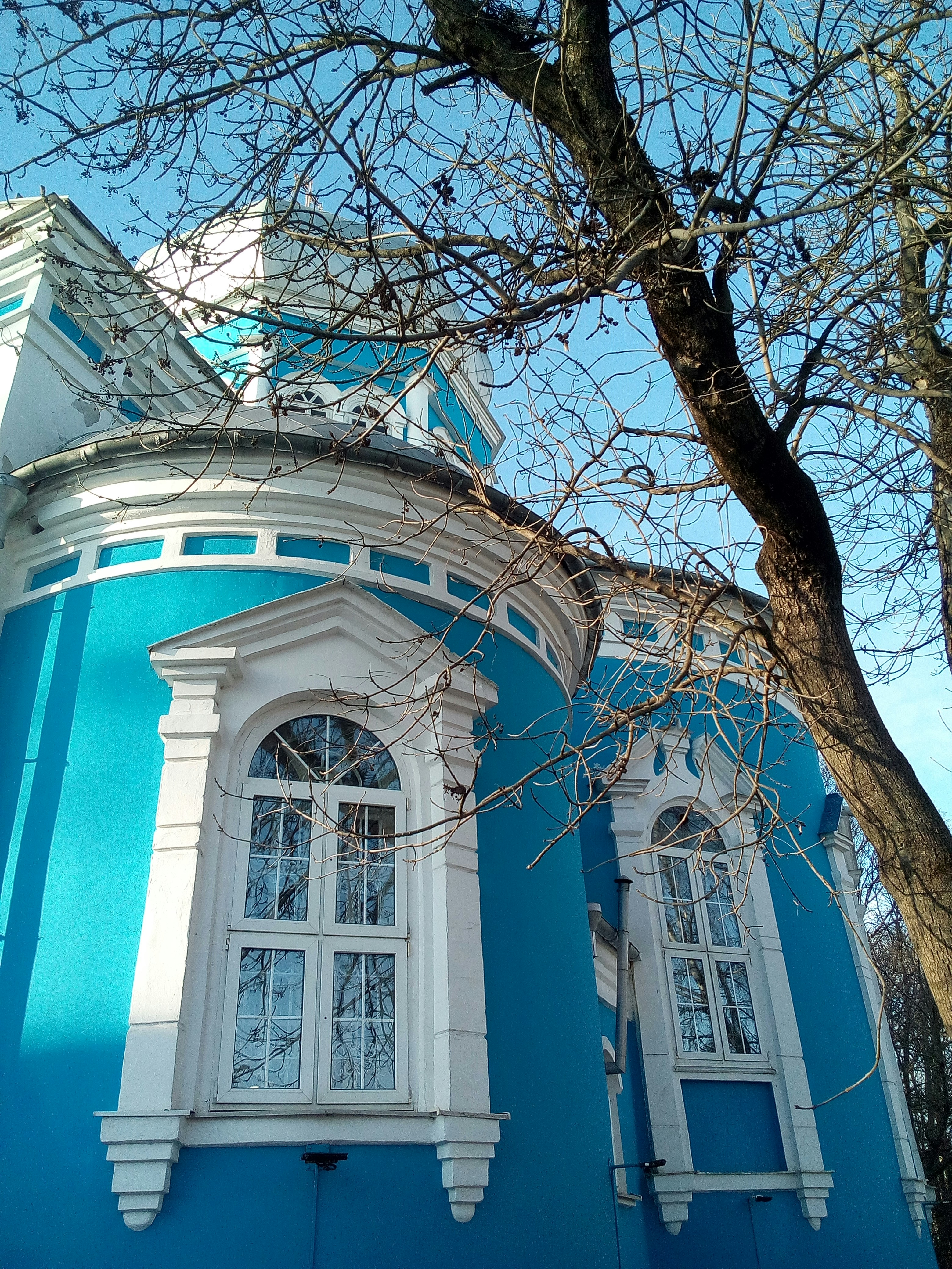 a blue and white building with a tree in front of it