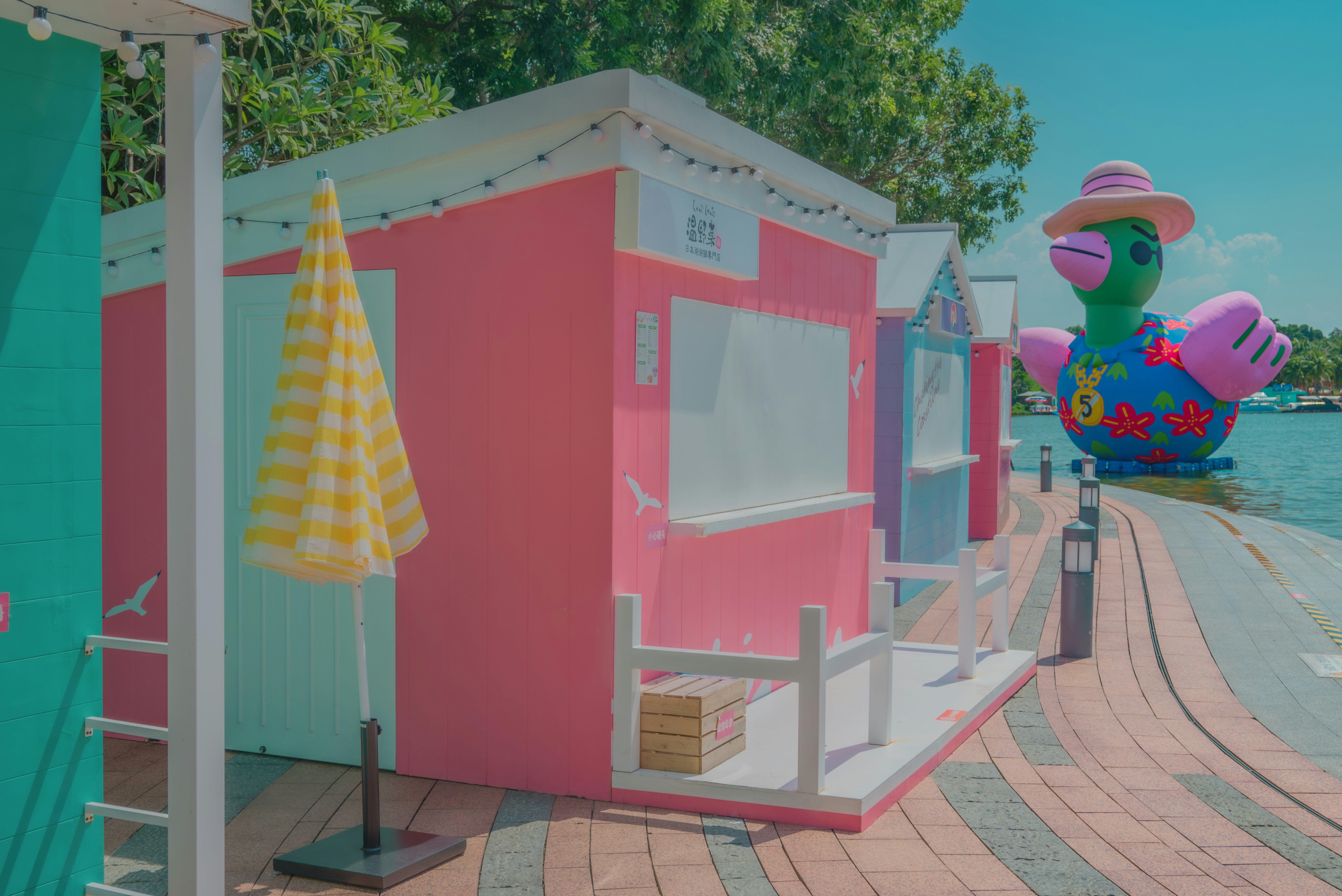 Photo by wangbinghua