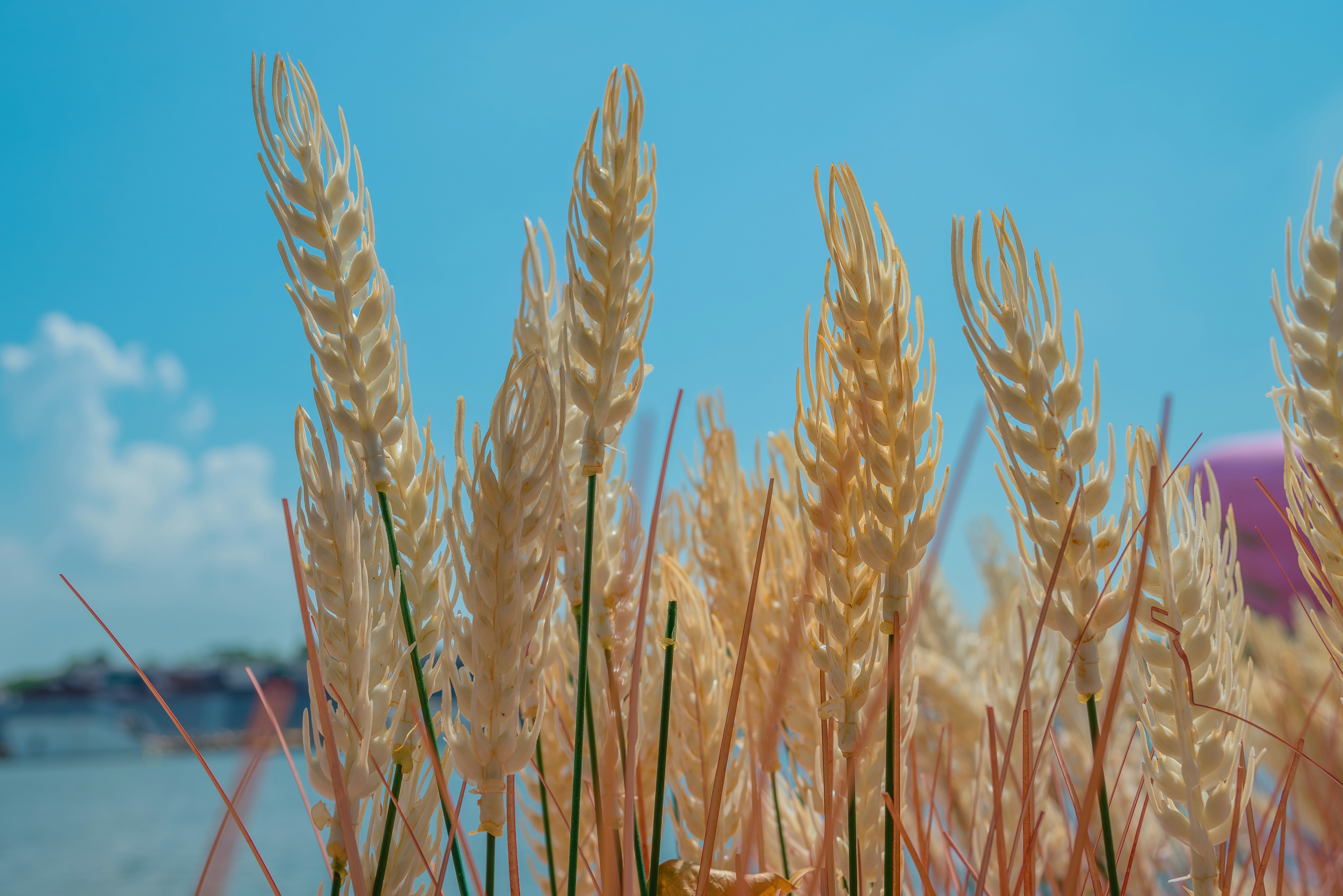 Photo by wangbinghua