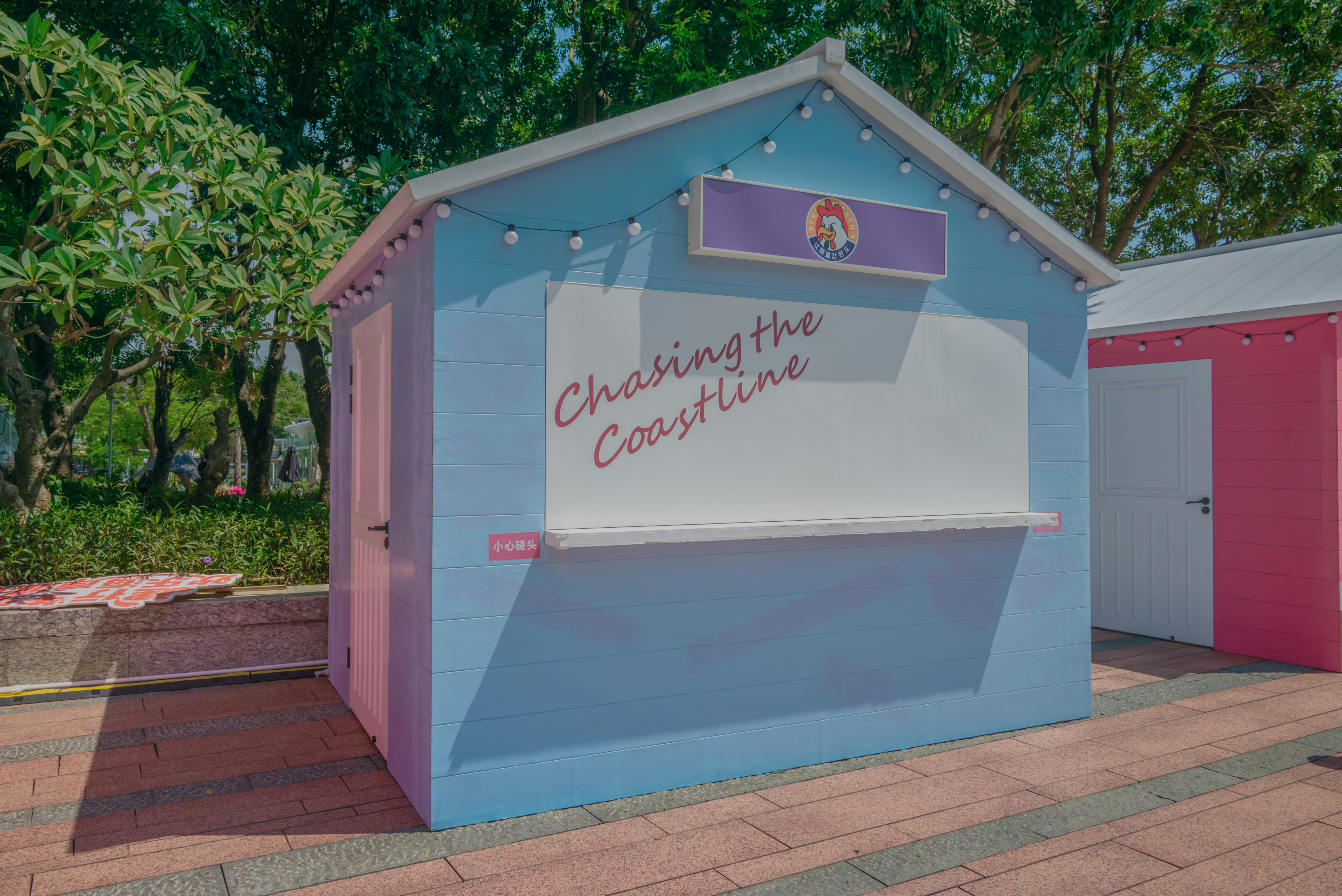 Photo by wangbinghua