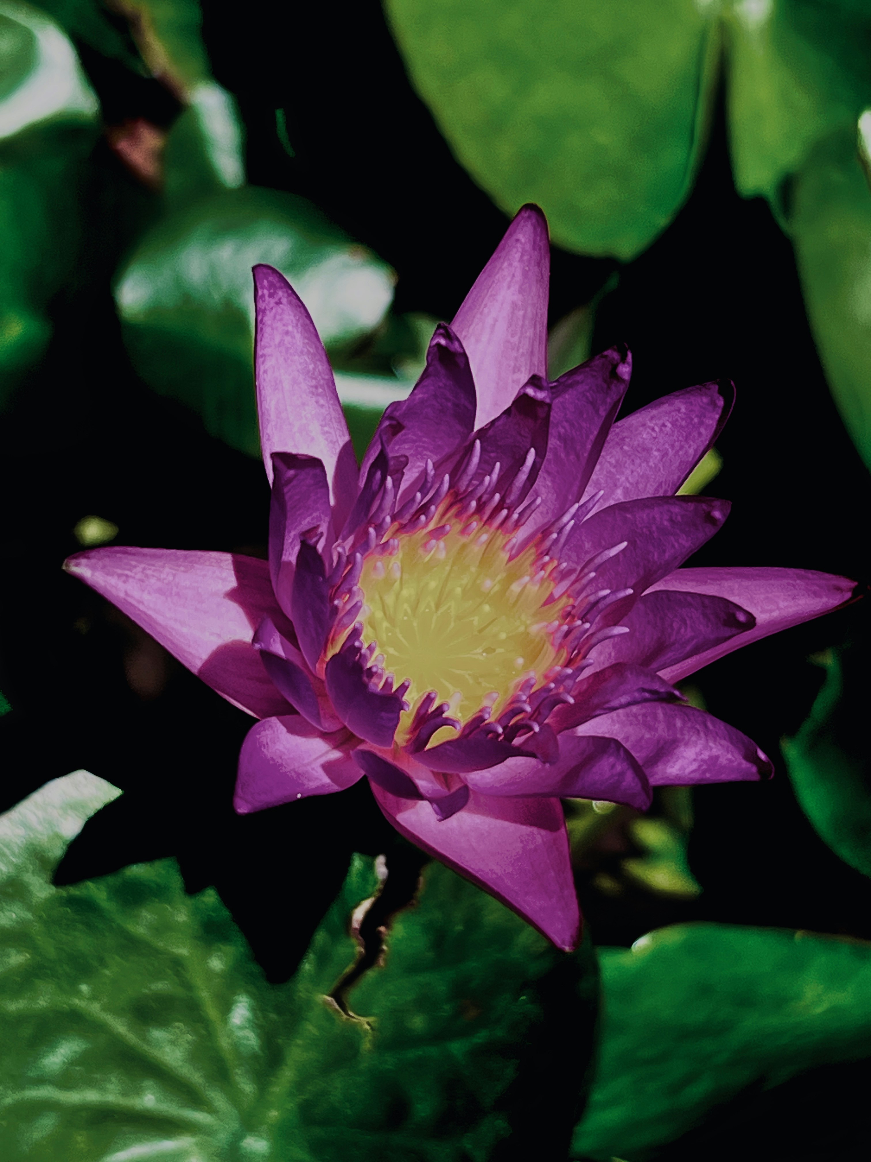 Photo by thanhliem178