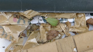 A close-up of biodegradable materials used in cleanup.
