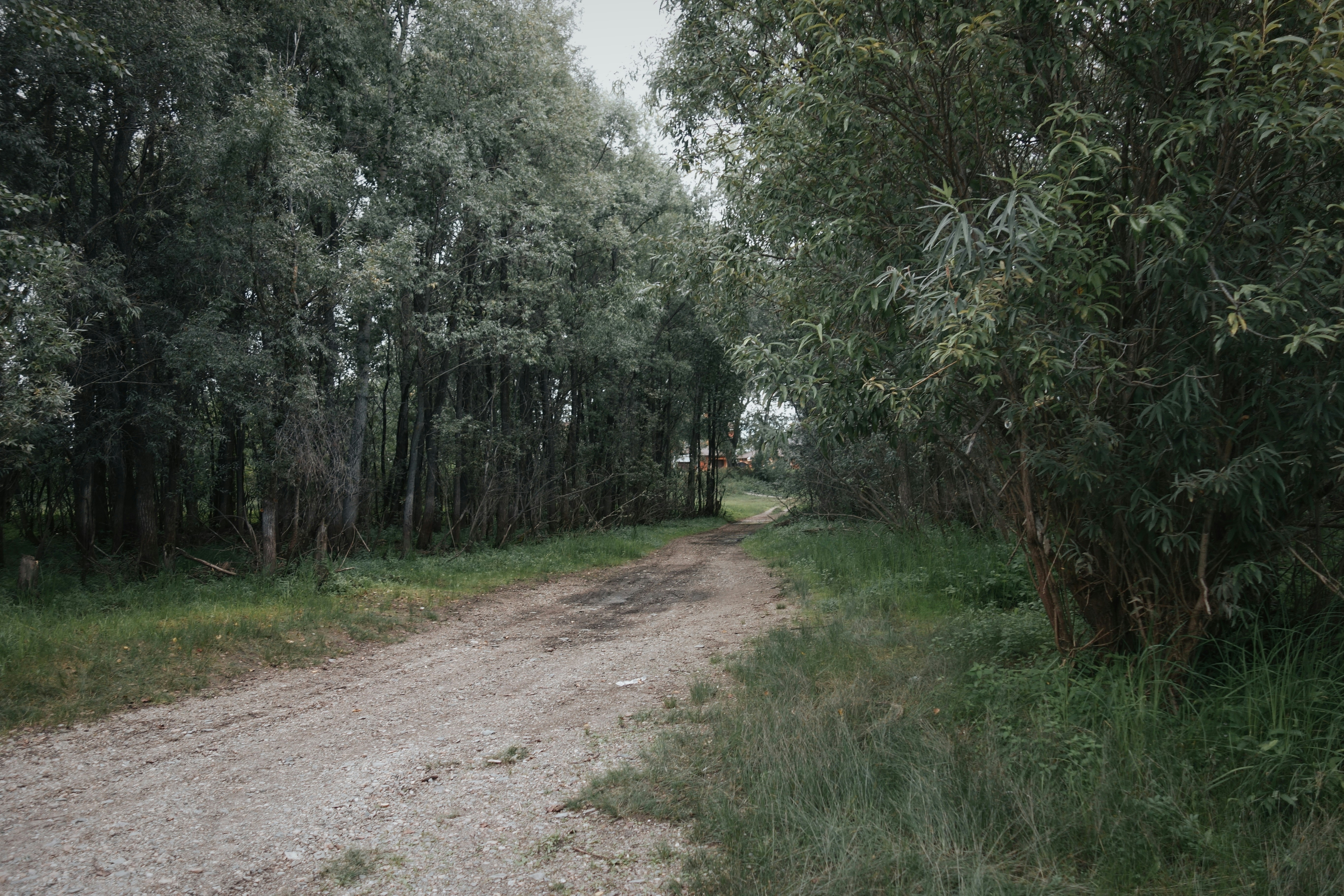 Photo by eugenemagia