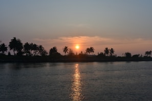 Sunset over turquoise waters with a silhouette of palm trees on a tropical beach