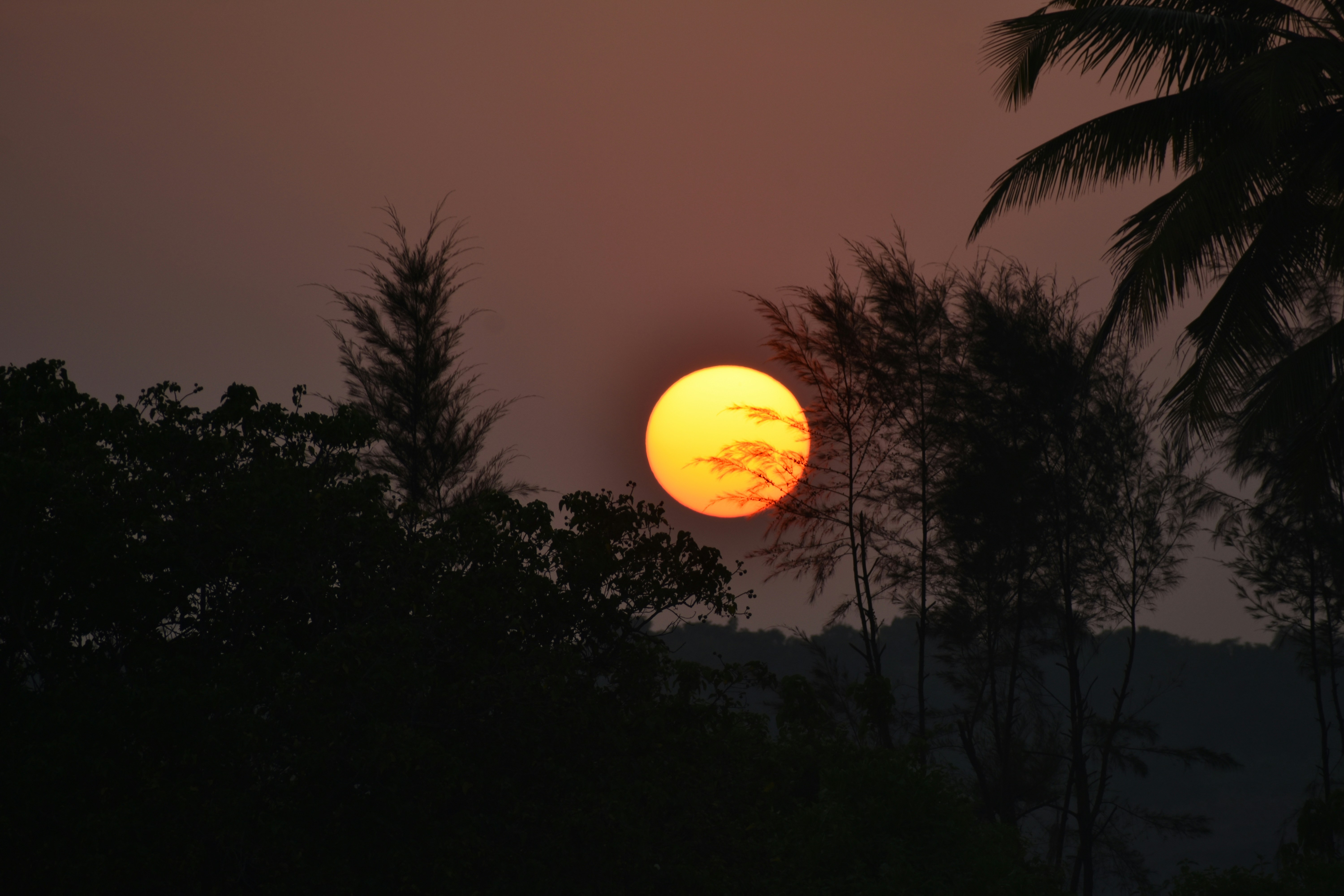 Photo by rahulrules