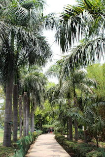 Guests enjoying a peaceful walk along a garden path lined with tropical plants.