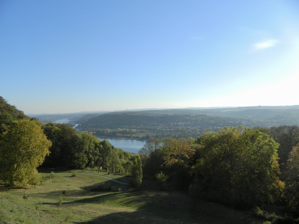 a grassy field with trees and a lake in the distance