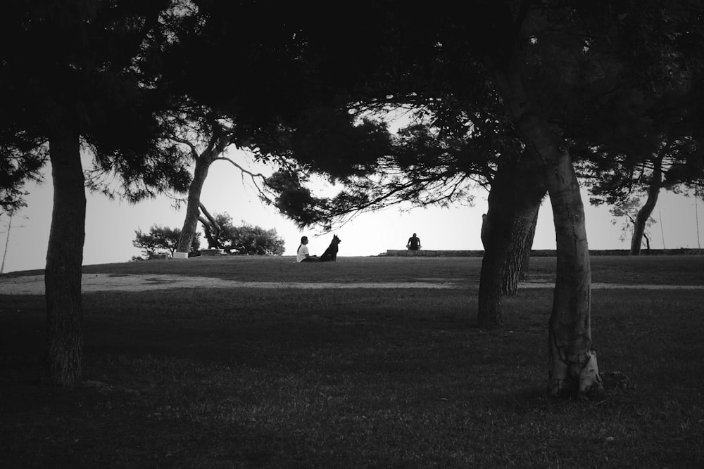 a couple of people sitting on a bench under some trees