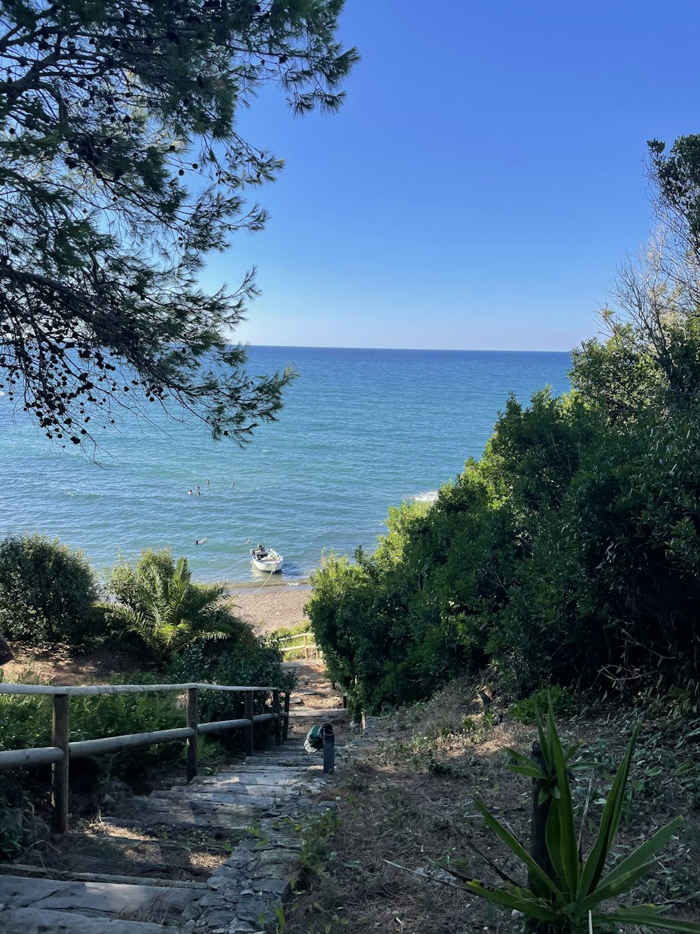 a path leading to the beach with a boat in the water