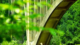 A large, arched concrete bridge structure is prominently featured, surrounded by lush green foliage. The perspective provides a close-up view of the bridge, highlighting its architectural elements and giving a sense of the surrounding natural environment.