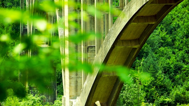 A large, arched concrete bridge structure is prominently featured, surrounded by lush green foliage. The perspective provides a close-up view of the bridge, highlighting its architectural elements and giving a sense of the surrounding natural environment.