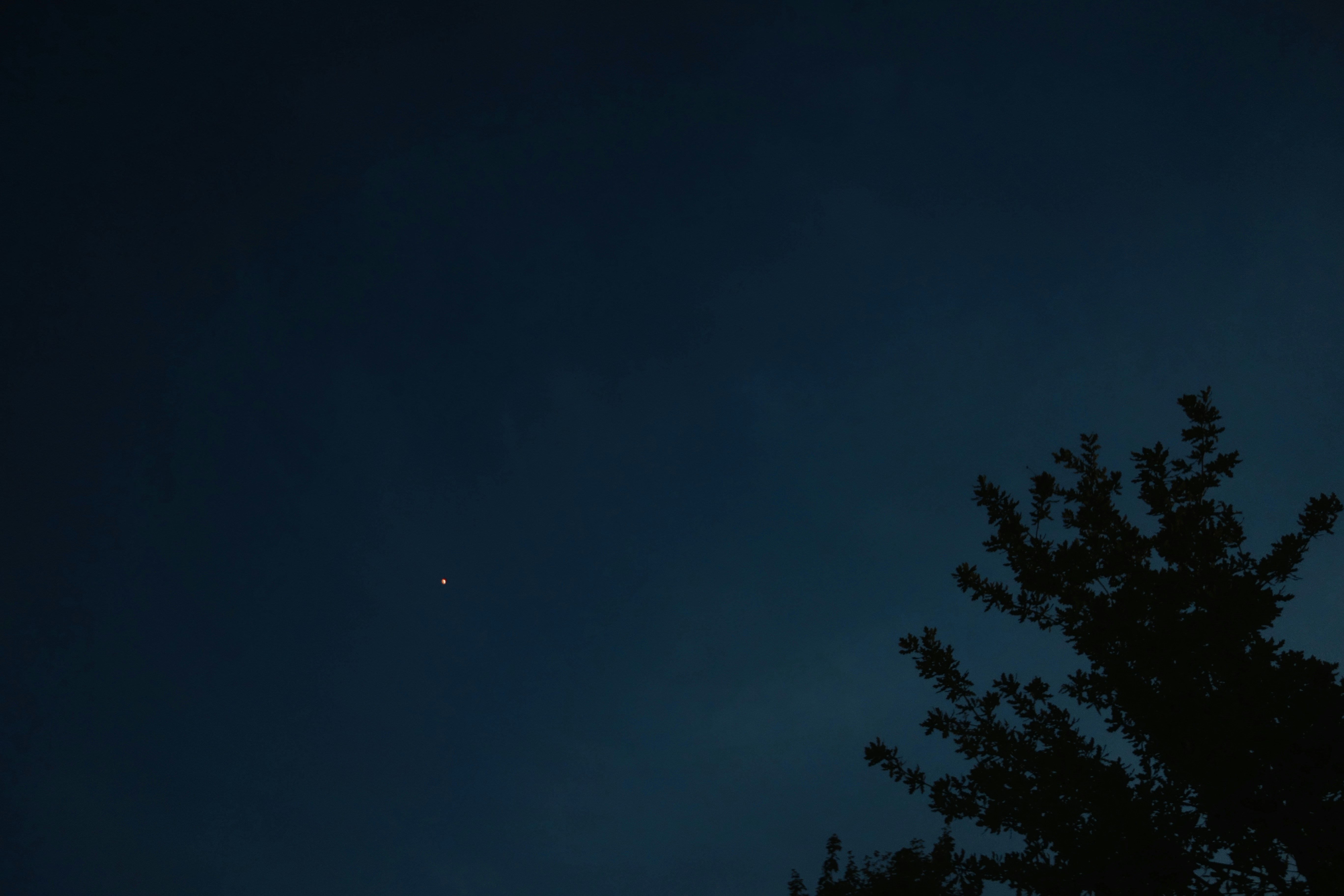 Photo by eugenemagia