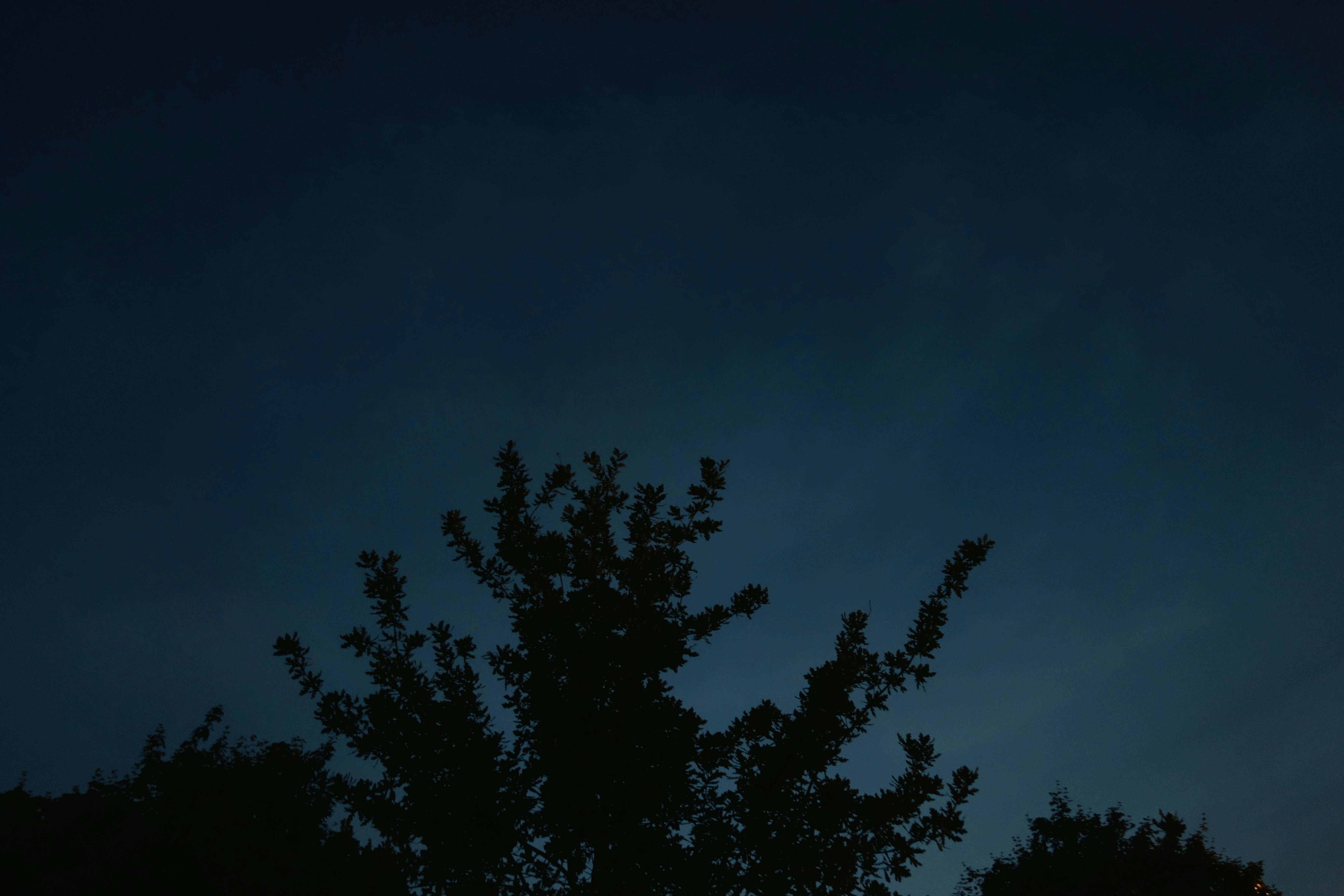 Photo by eugenemagia