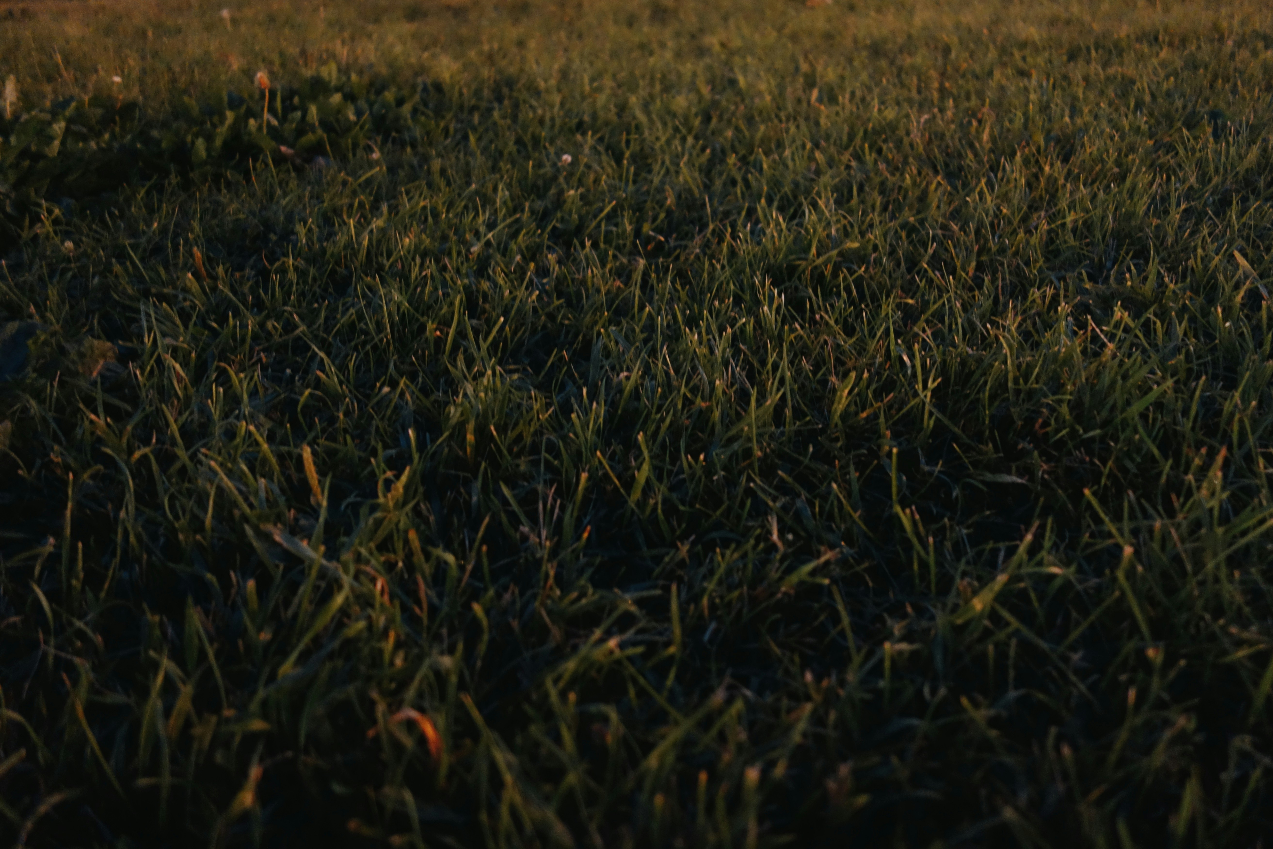 Photo by eugenemagia