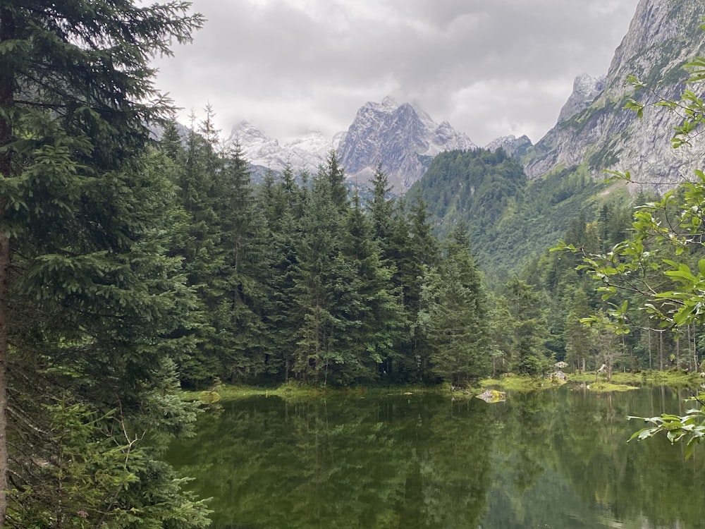 a body of water surrounded by trees and mountains