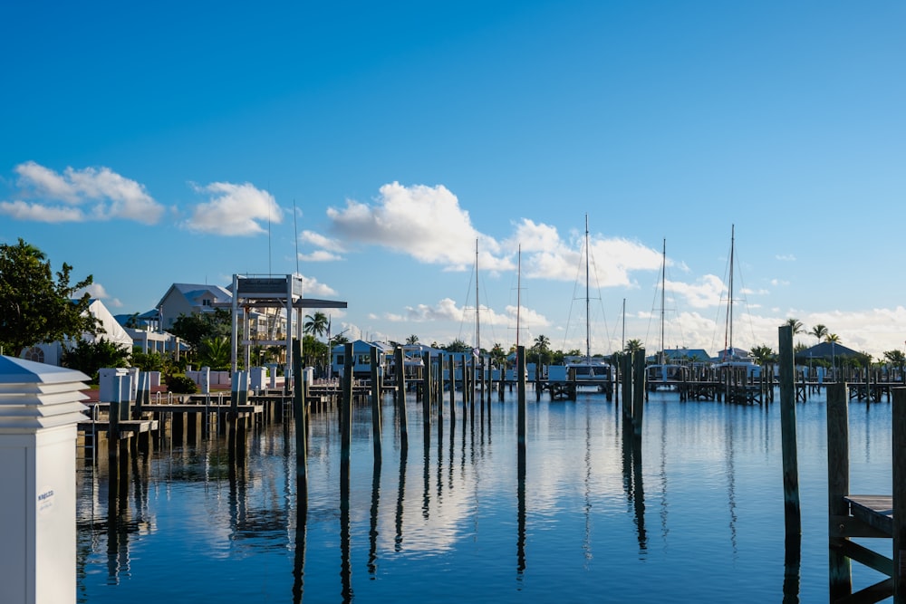 a body of water with a bunch of boats in it