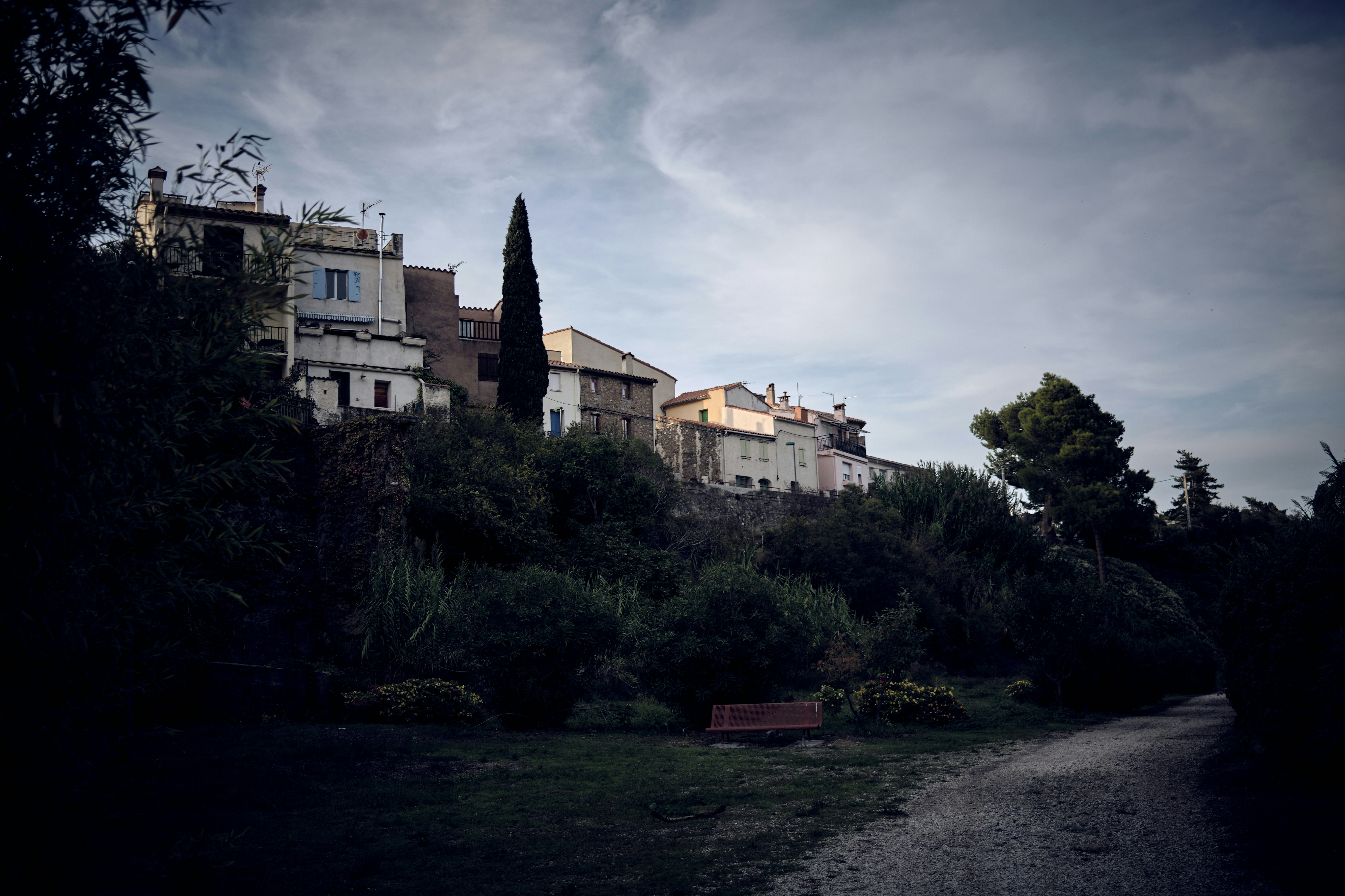 a row of houses on a hill with trees and bushes