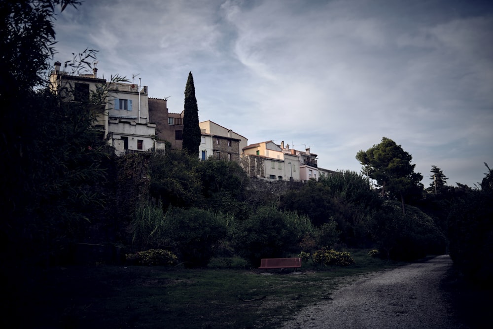 a row of houses on a hill with trees and bushes