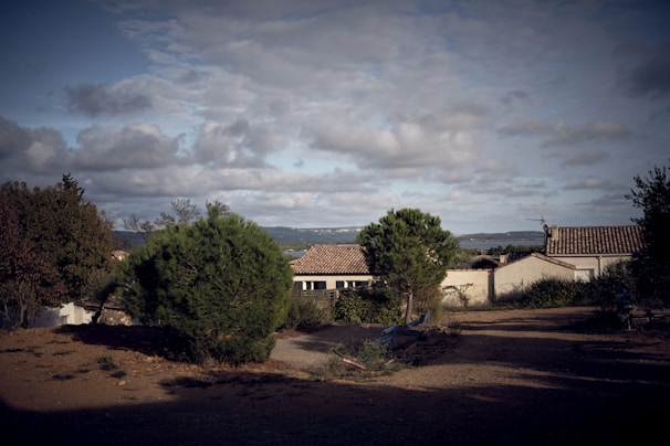 A rural landscape showcasing a few small houses with tiled roofs amidst lush greenery, including large trees and bushes. The setting appears calm and natural with a dirt pathway leading towards the houses. The horizon features hilly terrain under a wide, partly cloudy sky, suggesting an open countryside atmosphere.