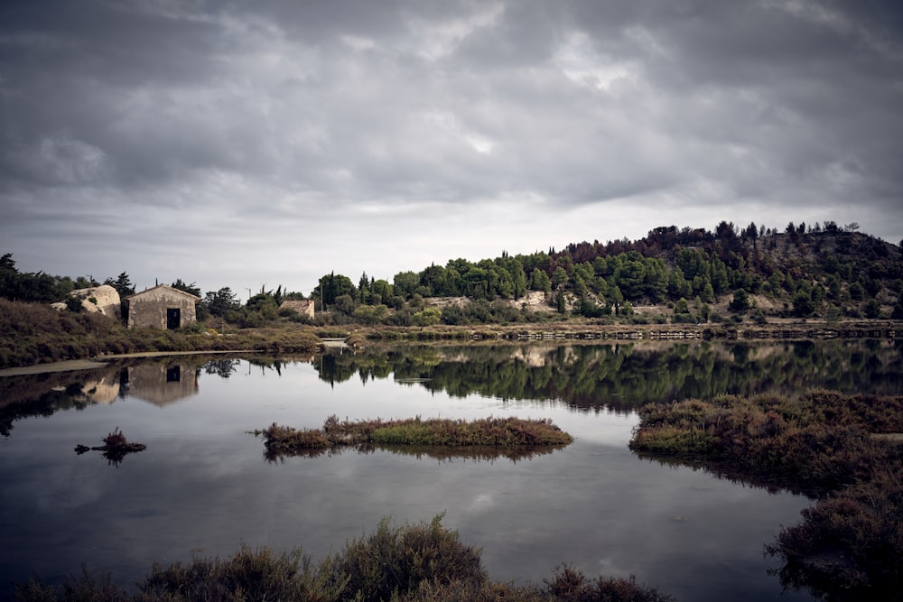 a body of water surrounded by a forest