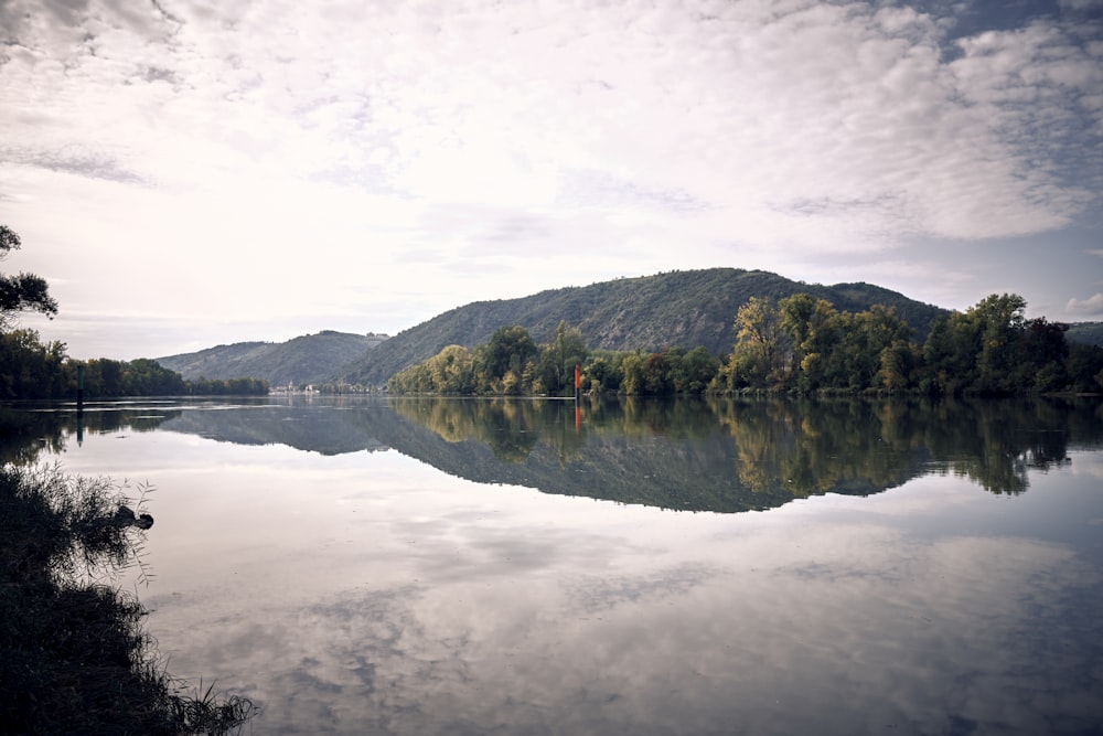 a large body of water surrounded by trees