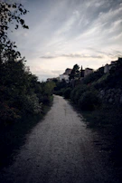 Hidden village street framed by soft natural greenery and warm sunset light.