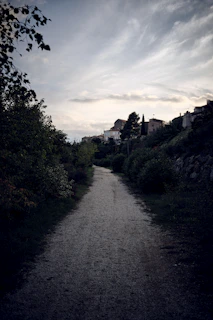 Hidden village street framed by soft natural greenery and warm sunset light.