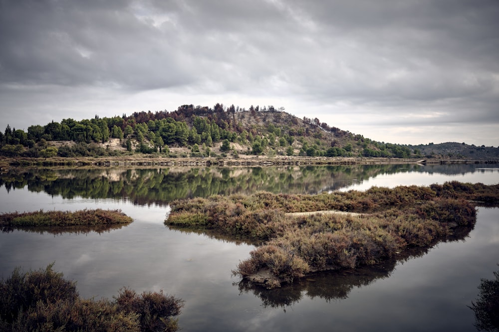 a body of water surrounded by land and trees