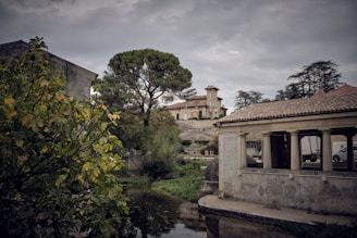 A scenic landscape featuring a historic building with classical architecture in the background, surrounded by tall trees and a stone wall. In the foreground, a serene water body reflects the lush greenery and an old stone structure, contributing to the tranquil atmosphere.