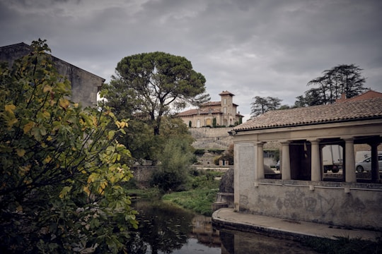 A scenic landscape featuring a historic building with classical architecture in the background, surrounded by tall trees and a stone wall. In the foreground, a serene water body reflects the lush greenery and an old stone structure, contributing to the tranquil atmosphere.
