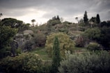 A scenic outdoor location with lush greenery for filming.