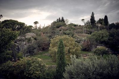A scenic outdoor location with lush greenery for filming.