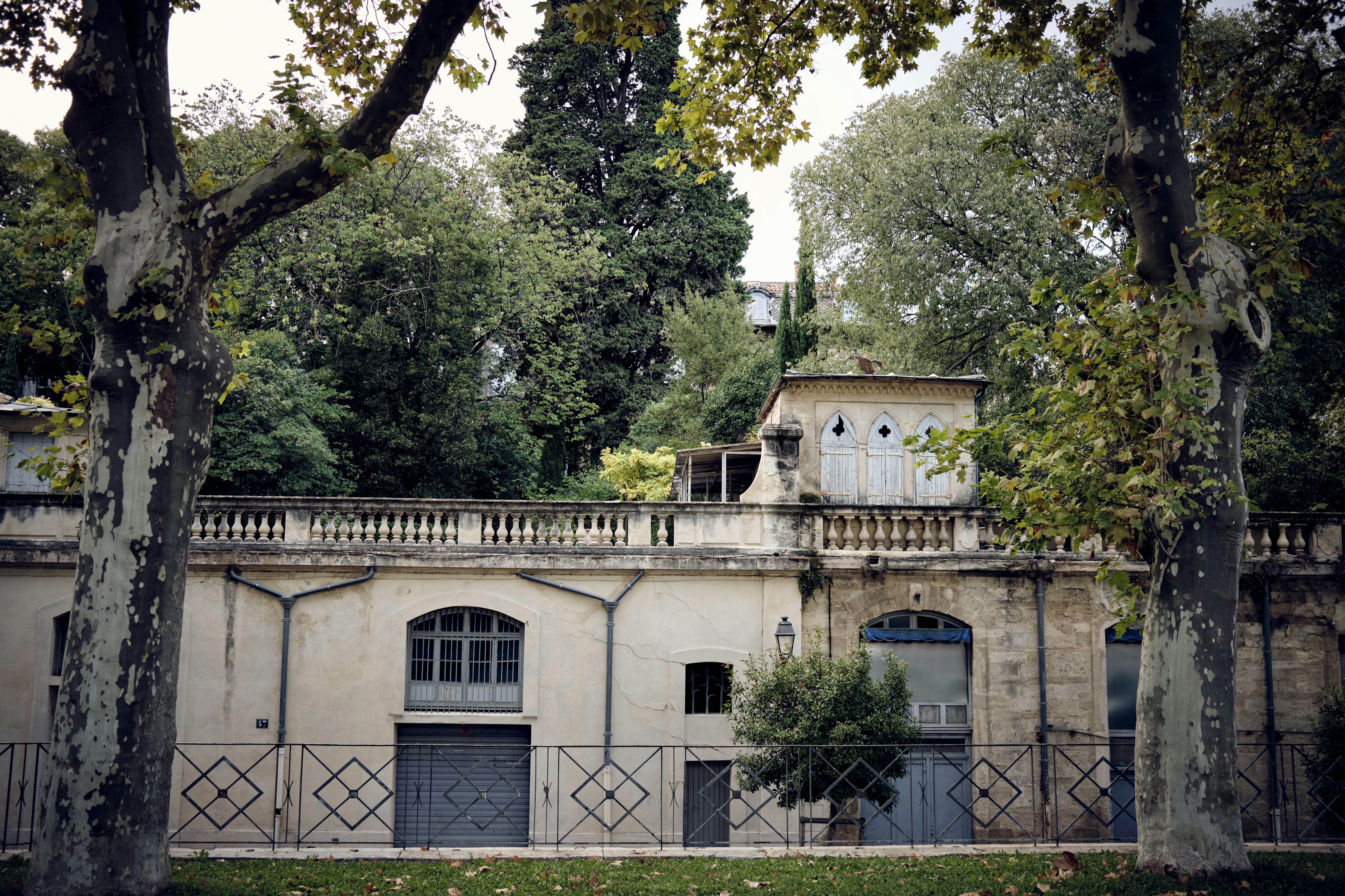 Jardin médiéval