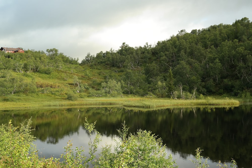 a small lake surrounded by a lush green hillside