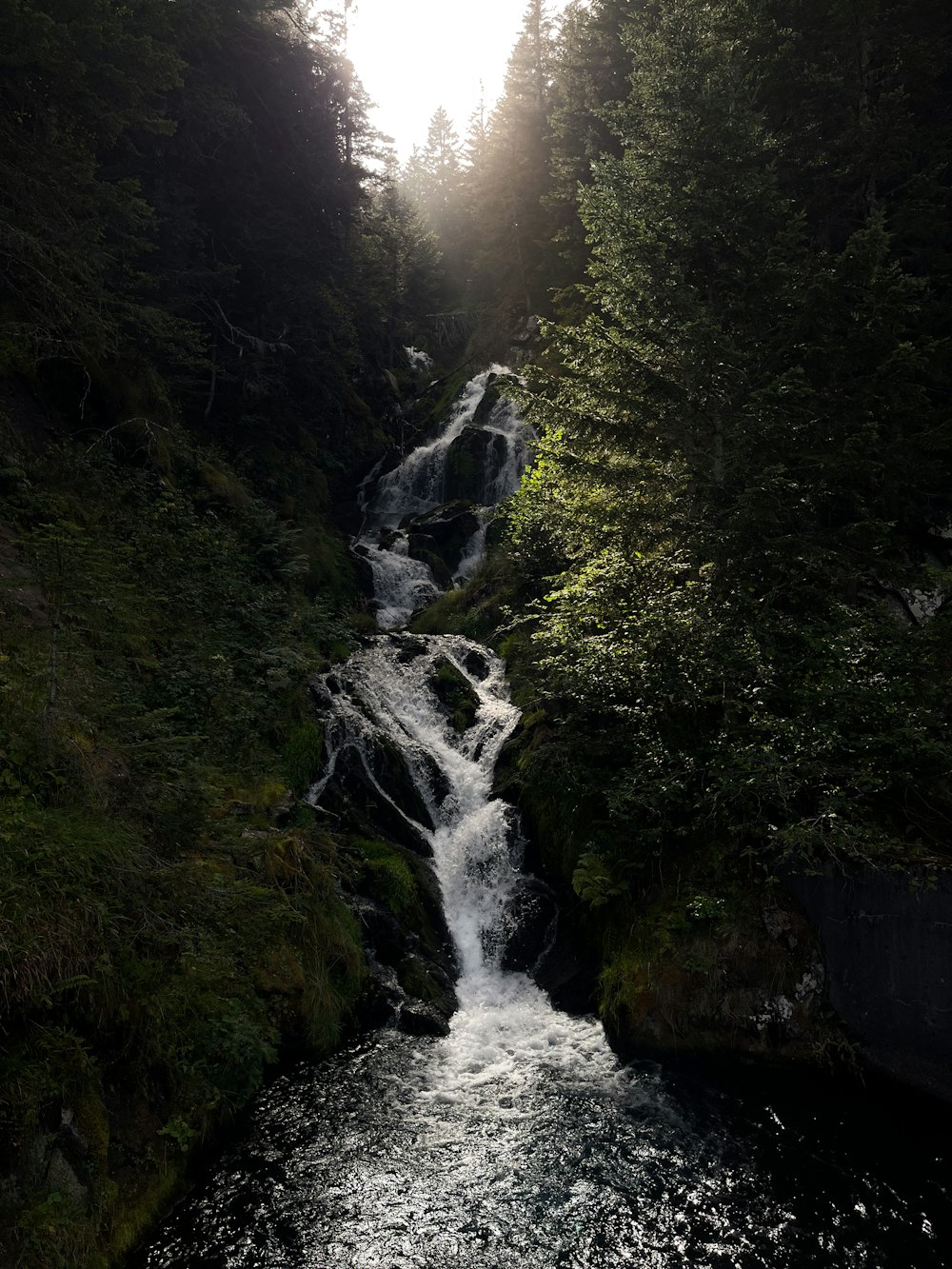 Una pequeña cascada en medio de un bosque