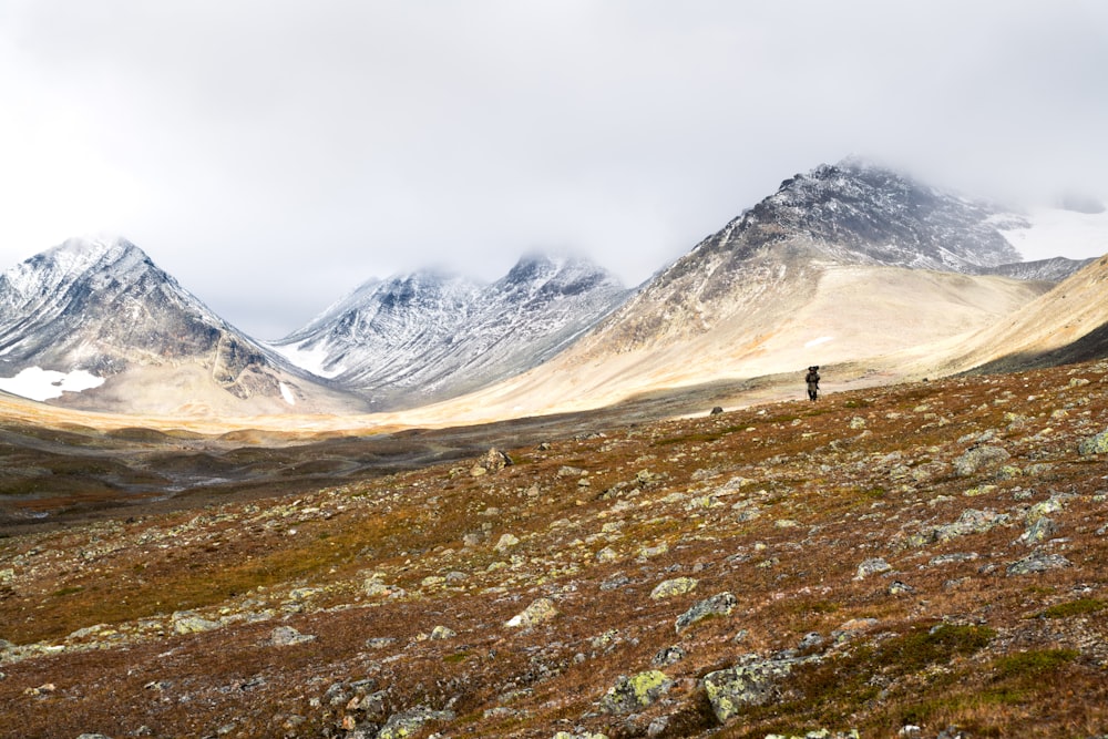 a man standing on top of a lush green hillside