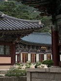 Intricate traditional architecture with ornate roof designs and vibrant wooden structures set against a backdrop of lush greenery. The setting appears serene and historic, with detailed carvings and decorative elements visible on the buildings.