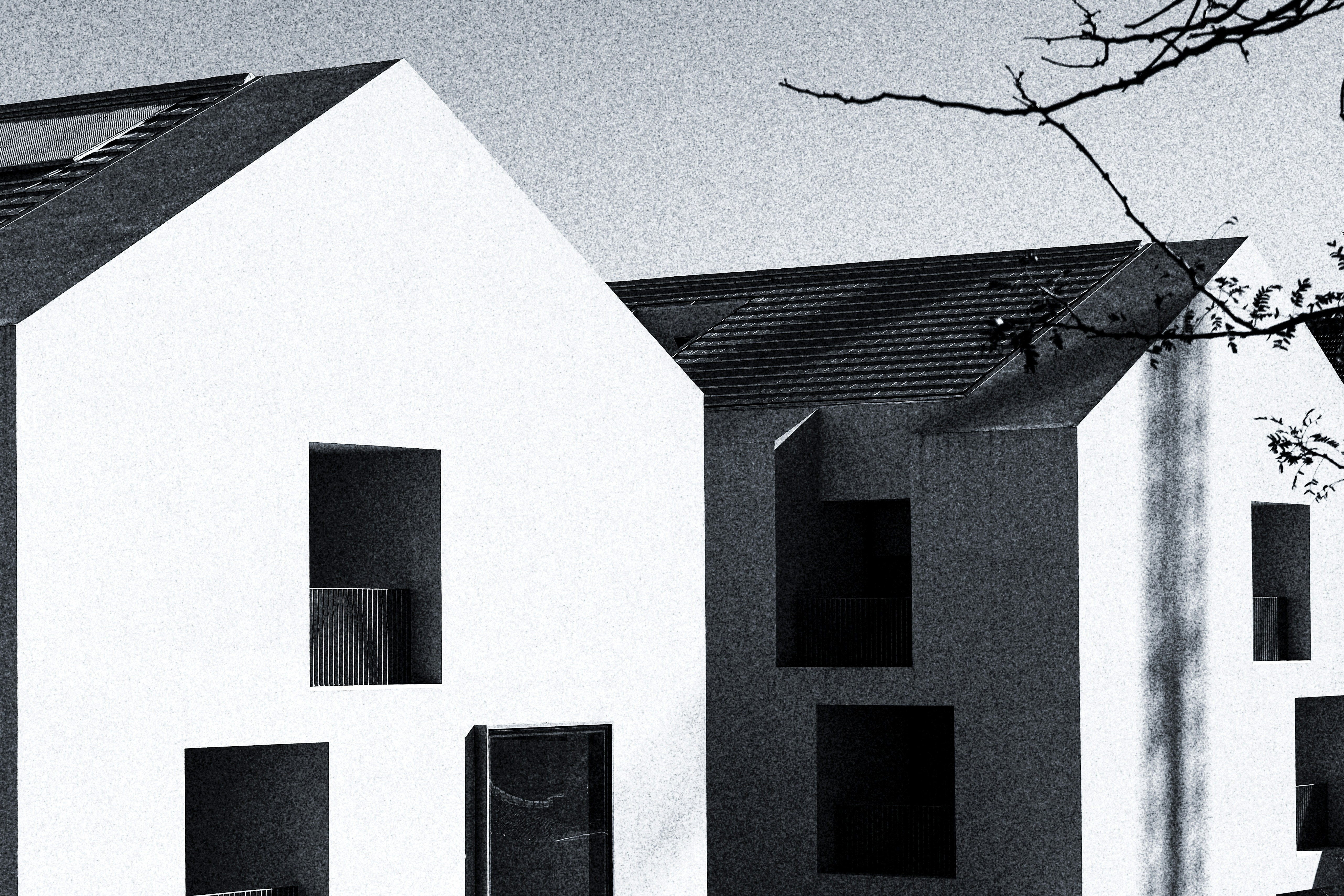 Design épuré pour site immobilier