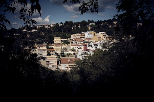 A cluster of Mediterranean-style houses is nestled amidst lush greenery on a hillside. The buildings display a mix of pastel colors, including yellow, orange, and white. The scene is partly shaded by tree branches framing the image, suggesting a view from within a forested area. In the background, more houses are integrated into the forested hills.