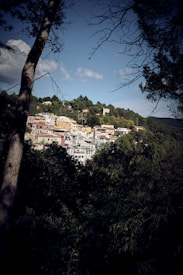 A small town with colorful buildings located on a lush green hillside. The view is framed by tall trees in the foreground, with clear blue skies and a few clouds overhead.