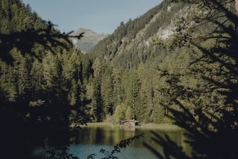 A serene mountain cabin surrounded by tall pine trees and a clear blue sky.