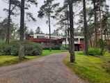 A modern two-story house surrounded by tall pine trees, with a pathway leading up to the entrance. The structure features a combination of white and brown exterior elements, expansive windows, and sits in a lush green garden.
