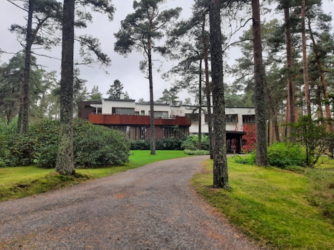 A modern two-story house surrounded by tall pine trees, with a pathway leading up to the entrance. The structure features a combination of white and brown exterior elements, expansive windows, and sits in a lush green garden.