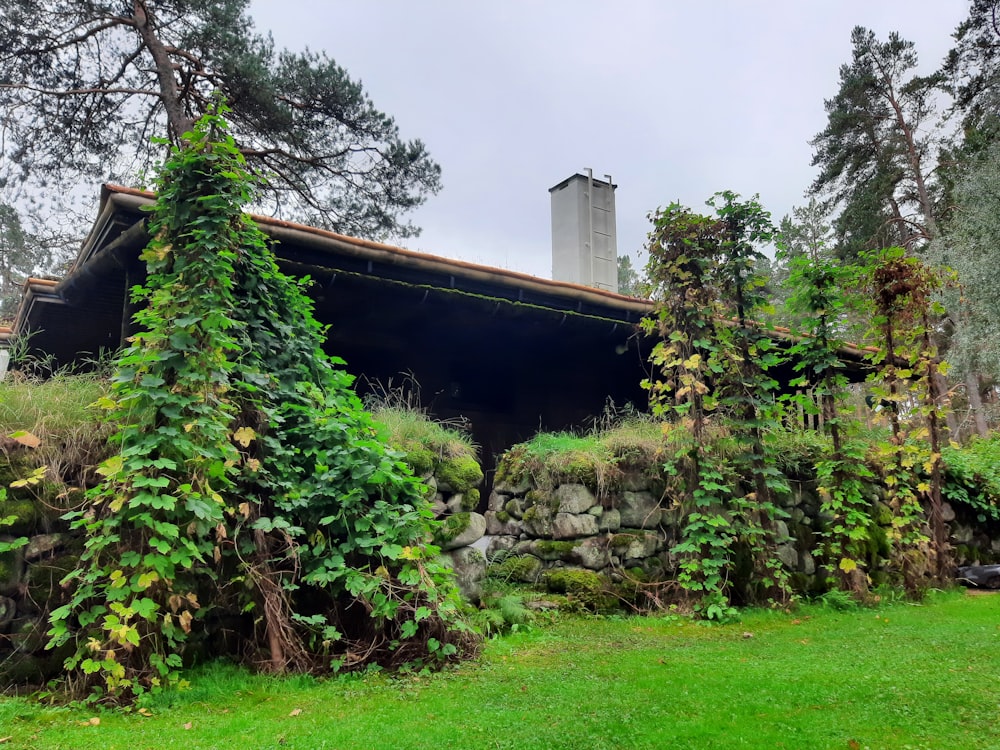 a building with vines growing on the side of it