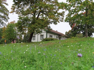 Cozy wooden cottage exterior surrounded by blooming wildflowers.