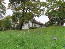 A quaint wooden house with a white facade and green window frames is nestled amidst tall trees. The foreground features a lush green meadow dotted with various colorful wildflowers. The scene is calm and serene, suggesting a peaceful countryside setting.