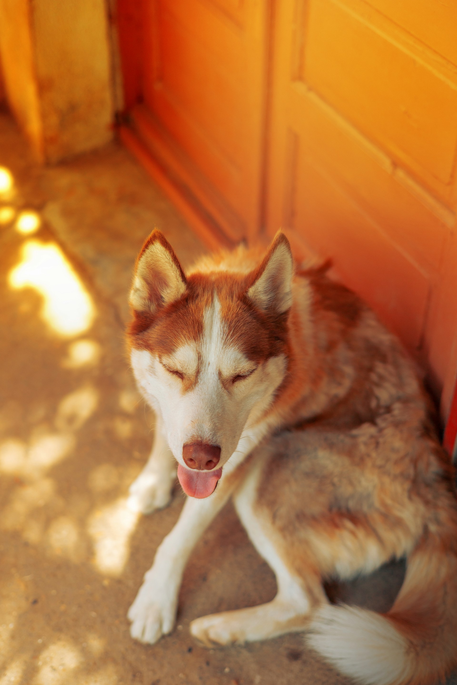 gray computer monitor